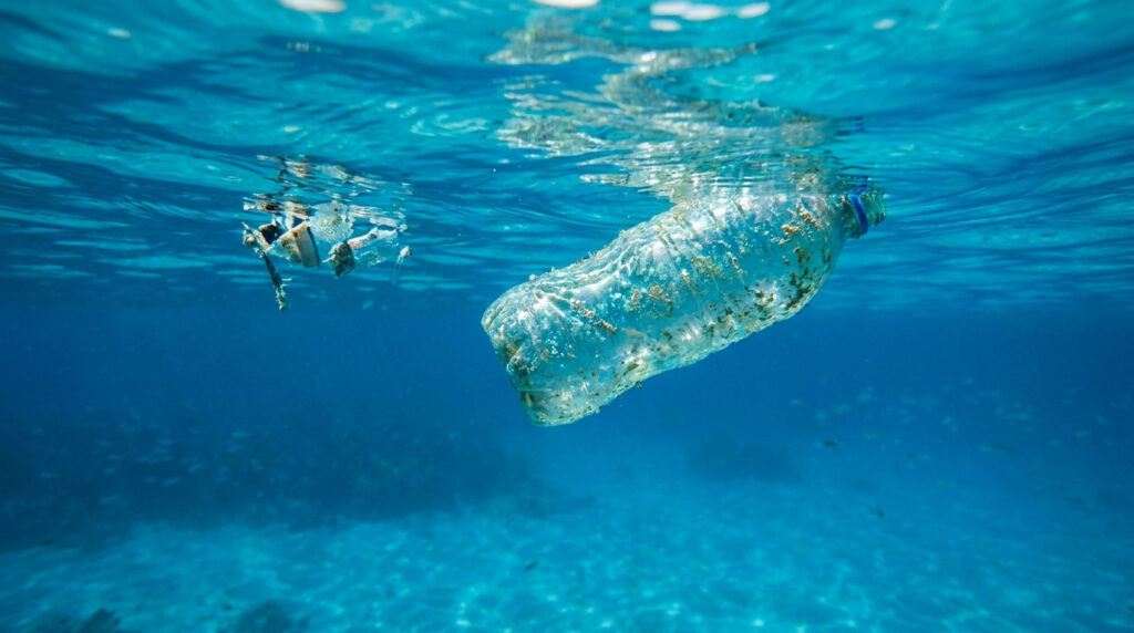 Une bouteille en plastique souillée flottant dans des eaux cristallines.