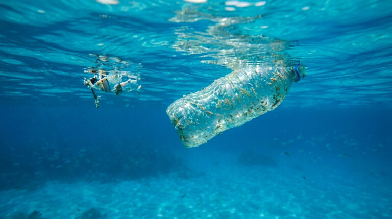 Une bouteille en plastique souillée flottant dans des eaux cristallines.